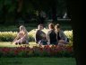 on_grass.jpg - 